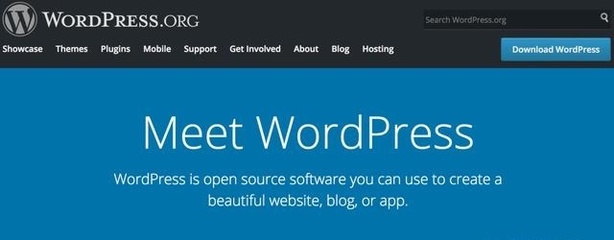 為什么我選擇 WordPress 來建站？深入解析 9 大核心理由